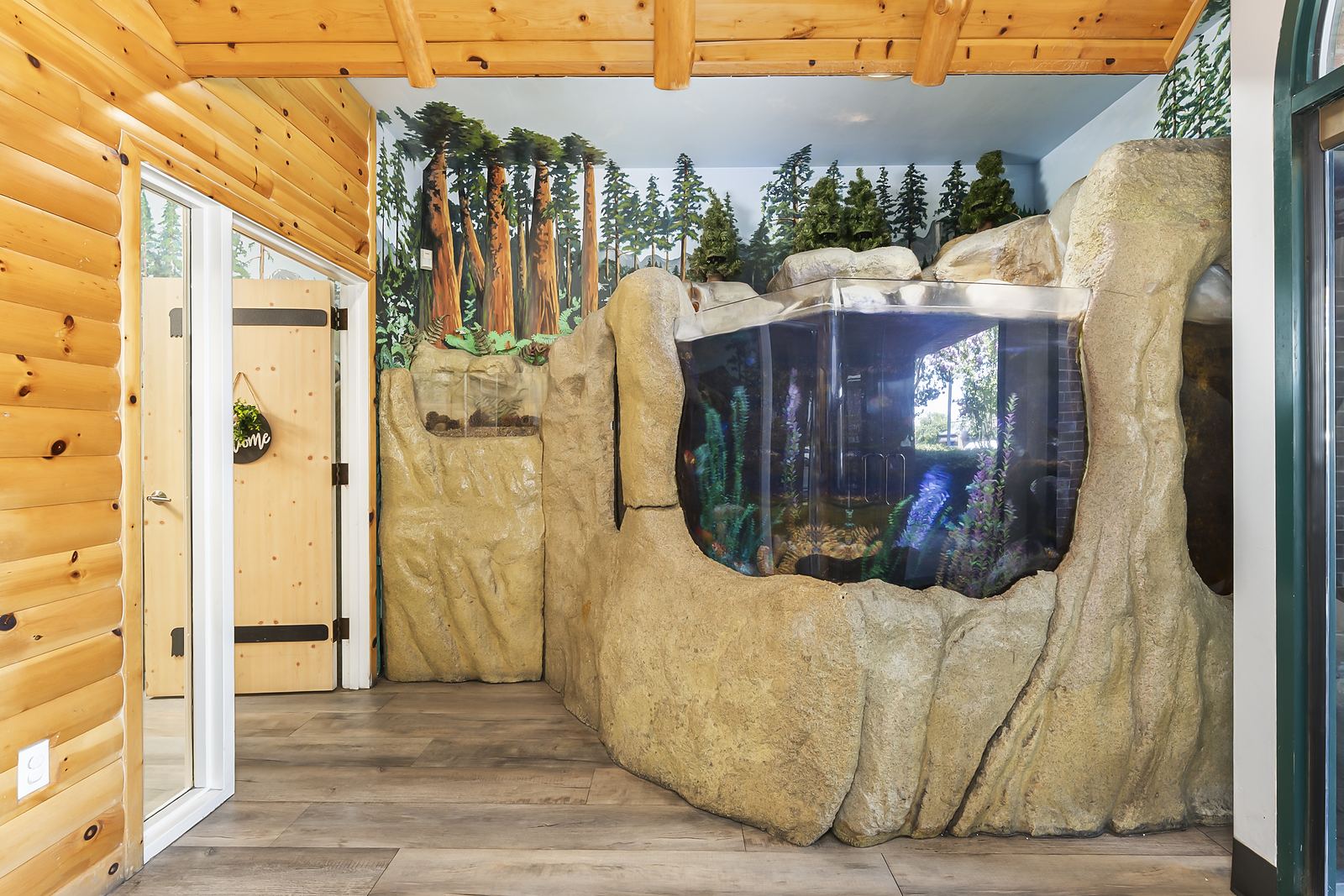 Aquarium set into a rock formation beside the cabin door in our lobby